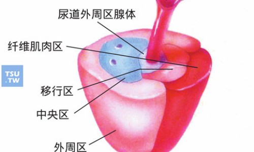 安定片副作用头晕没事吧-安定片副作用网- 安定片副作用是什么知识,分享安定片副作用是什么
