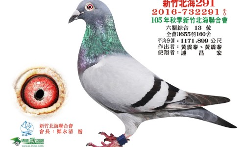 安定片副作用网- 安定片副作用是什么知识,分享安定片副作用是什么
